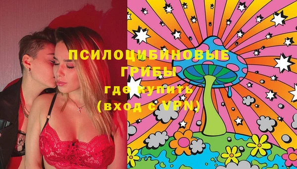дурь Козельск