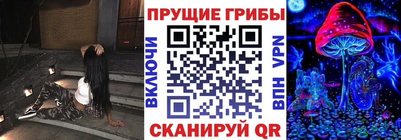 Купить закладки  Тюмень  Псилоцибиновые грибы Magic Shrooms 